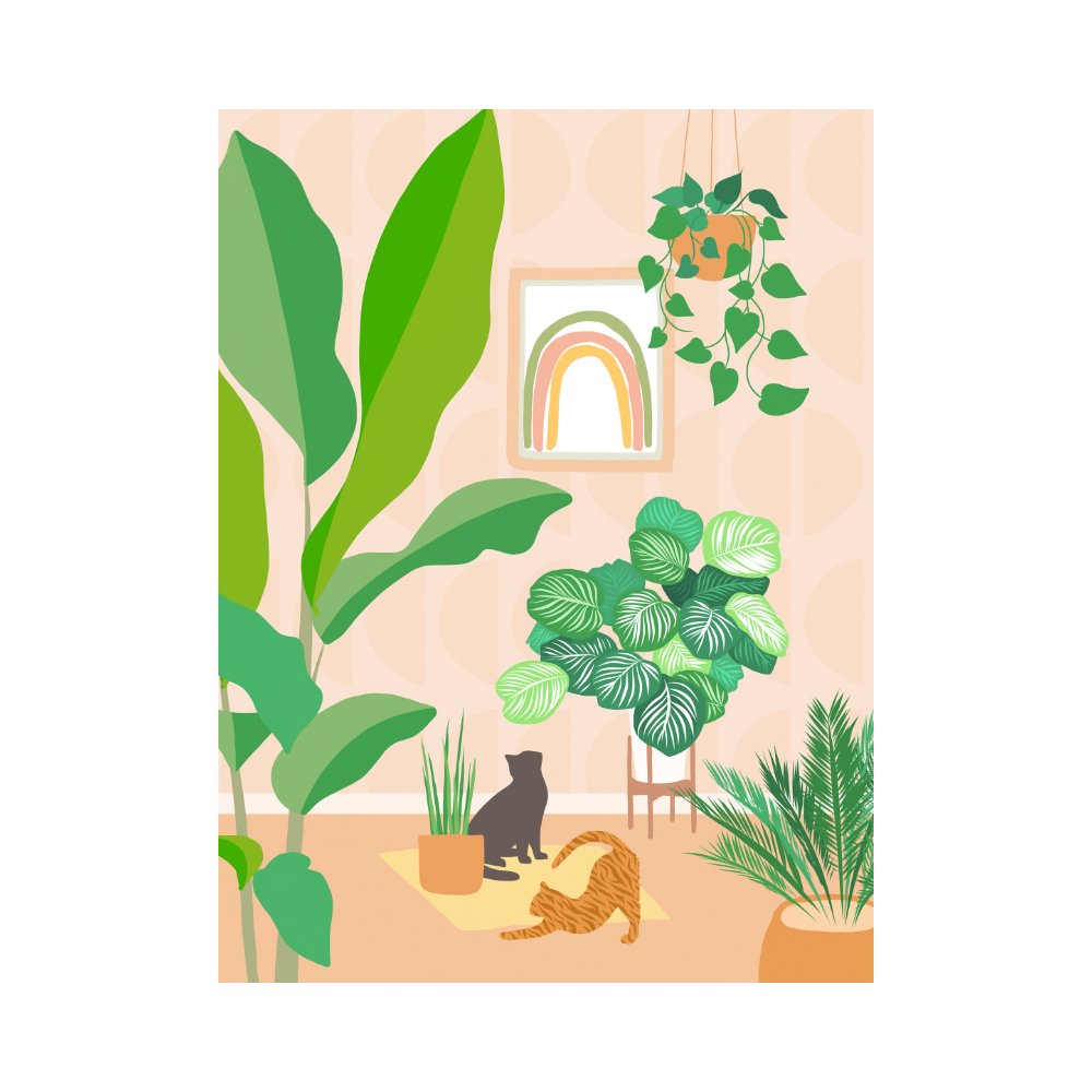 Affiche Dominique Vari Cats and plants