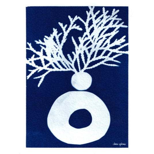 Affiche Claire Iglesias Cyanotype Collage 6