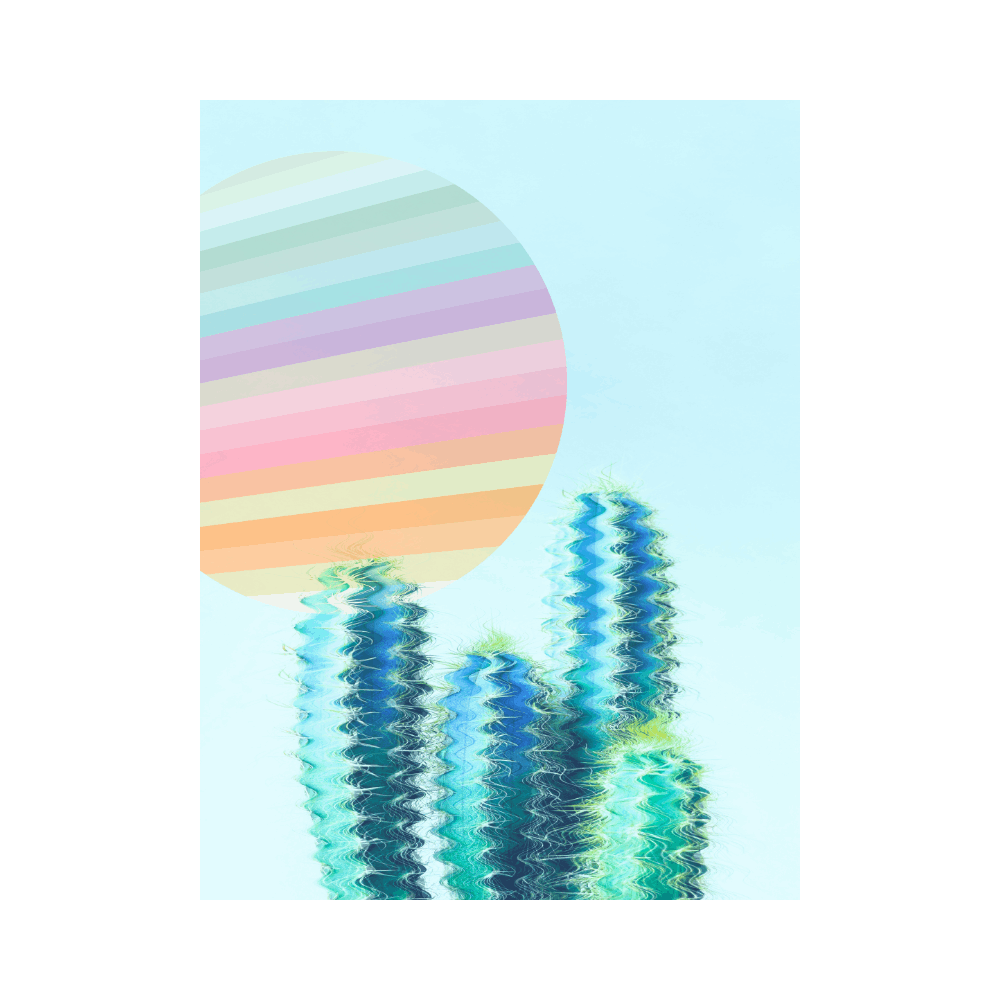 Affiche Dominique Vari Cactus