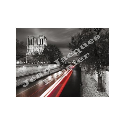 Affiche Jean-Jacques BERNIER Notre Dame de Paris 50x70cm