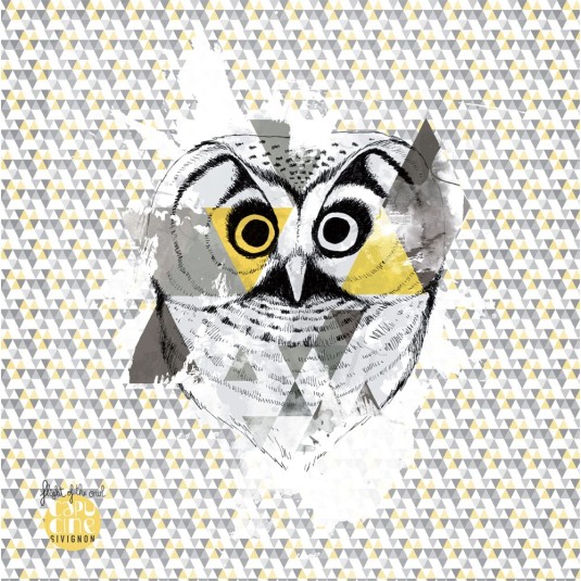 Affiche Capucine SIVIGNON Flight of the owl 30x30cm
